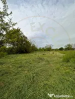 Teren intravilan Prundu - oportunitate excelentă de invest