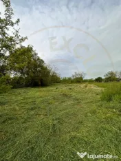 Teren intravilan Prundu - oportunitate excelentă de invest 