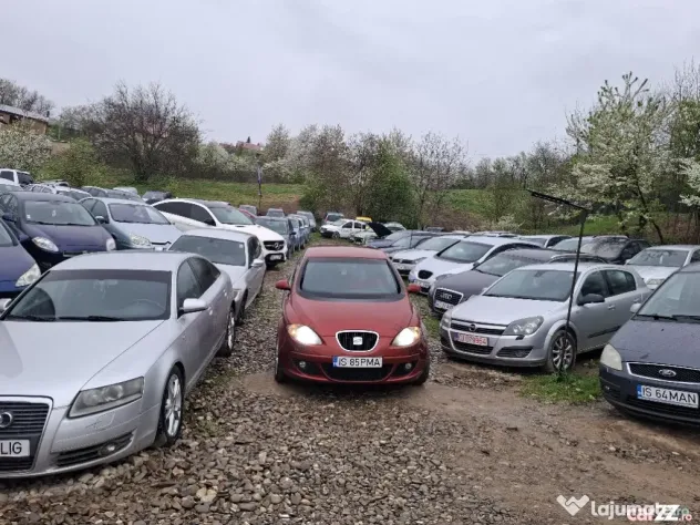 Seat Altea, an 2007, 1.9tdi = Rate cu buletinul