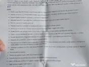 Scoica auto siguranță adac 
