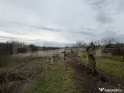 Casa pe parter, 115 mpc, 4505 mp teren, zona Bogea-Almaj 