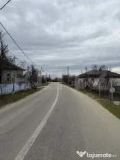 Casa pe parter, 115 mpc, 4505 mp teren, zona Bogea-Almaj 