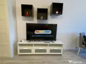 Garsoniera de inchiriat / Hils/ Theodor Pallady 