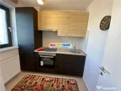 Garsoniera de inchiriat / Hils/ Theodor Pallady 