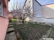 Casa de inchiriat, 7 camere, 230 mp + 415 mp teren, garaj - 