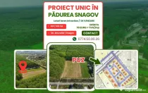 Exclusivitate-proiect unic in Padurea Snagov! Loturi teren 400-600 mp