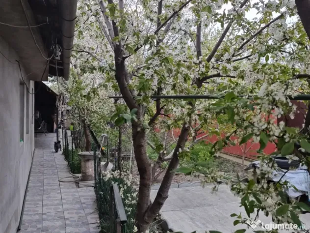 Casa parter zona frumoasa Giurgiu