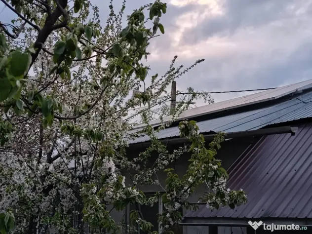 Casa parter zona frumoasa Giurgiu