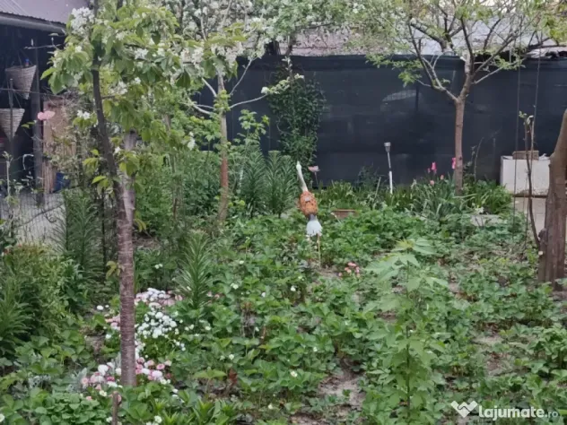 Casa parter zona frumoasa Giurgiu
