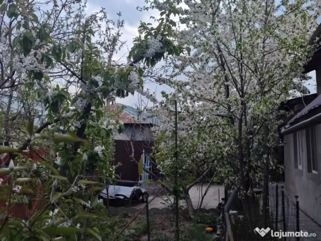 Casa parter zona frumoasa Giurgiu
