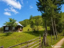 Teren la poalele padurii,Buzaiel,Vama Buzaului,DJ,constructi