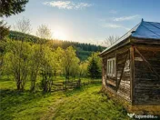 Teren la poalele padurii,Buzaiel,Vama Buzaului,DJ,constructi 