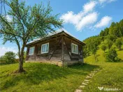 Teren la poalele padurii,Buzaiel,Vama Buzaului,DJ,constructi 