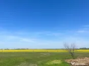 Teren extravilan Coșoveni 500-1500 mp 