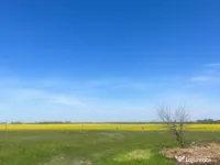 Teren extravilan Coșoveni 500-1500 mp 