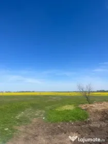 Teren extravilan Coșoveni 500-1500 mp