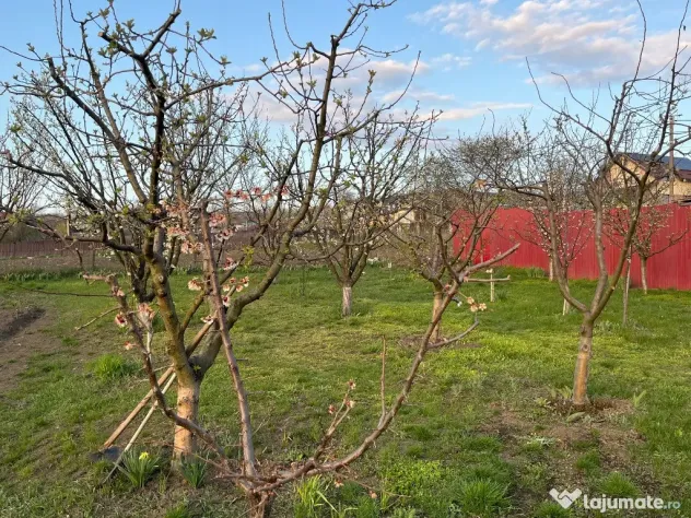 Casă în Dorobant
