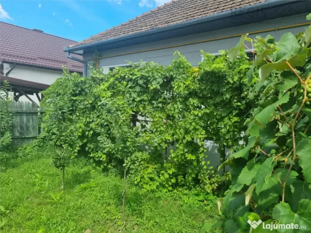 Casa spatioasa de doua camere in zona Craiter