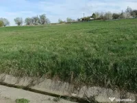 Teren Intravilan 20 Ari – Zvoristea-Stanca, Suceava la 
