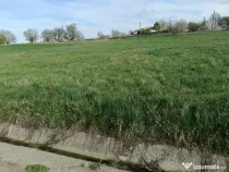 Teren Intravilan 20 Ari – Zvoristea-Stanca, Suceava la