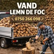 🪵 Vând lemne de foc tăiate și crăpate 