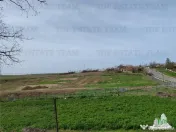 Teren intravilan 5.600 mp în Pantelimon, Constanta ideal... 