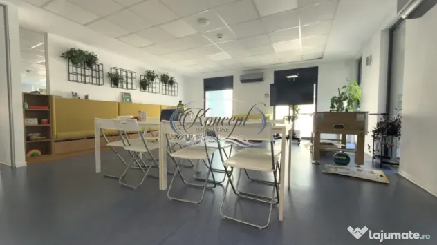 Birouri premium, cu parcare, strada Avram Iancu
