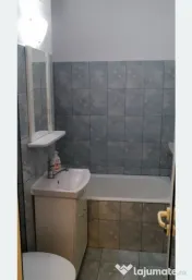 Apartament 1 camera Radu Negru etaj 3. 