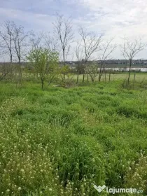 Teren intravilan Tuzla, oportunitate excelentă 2500mp