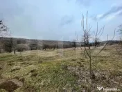 REDUCERE!!! Teren extravilan 5.613 mp, livadă, zona Predeș 