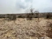 REDUCERE!!! Teren extravilan 5.613 mp, livadă, zona Predeș 