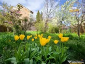 Casa pe strada Lazar Mihaly, Sfantu Gheorghe, cu 645 mp tere 