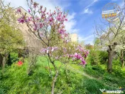 Casa pe strada Lazar Mihaly, Sfantu Gheorghe, cu 645 mp tere 