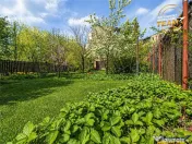 Casa pe strada Lazar Mihaly, Sfantu Gheorghe, cu 645 mp tere 