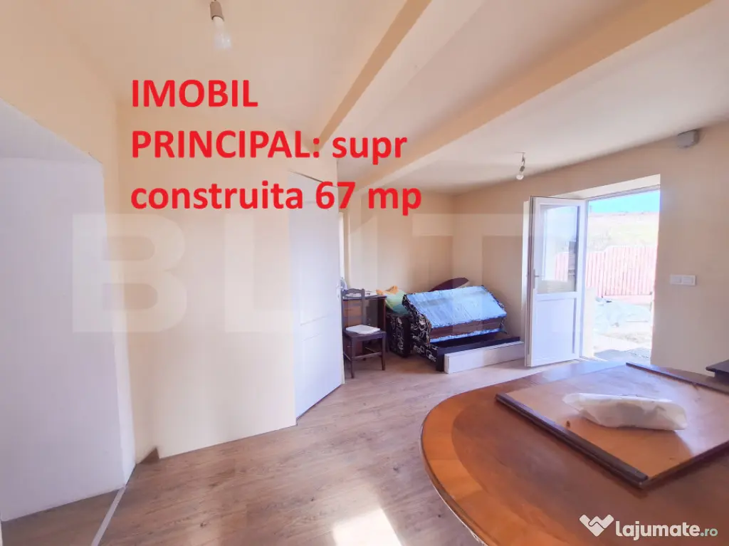 Proprietate cu 3 imobile și 1281 mp teren, Săliștea Nouă
