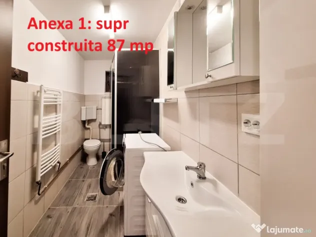 Proprietate cu 3 imobile și 1281 mp teren, Săliștea Nouă