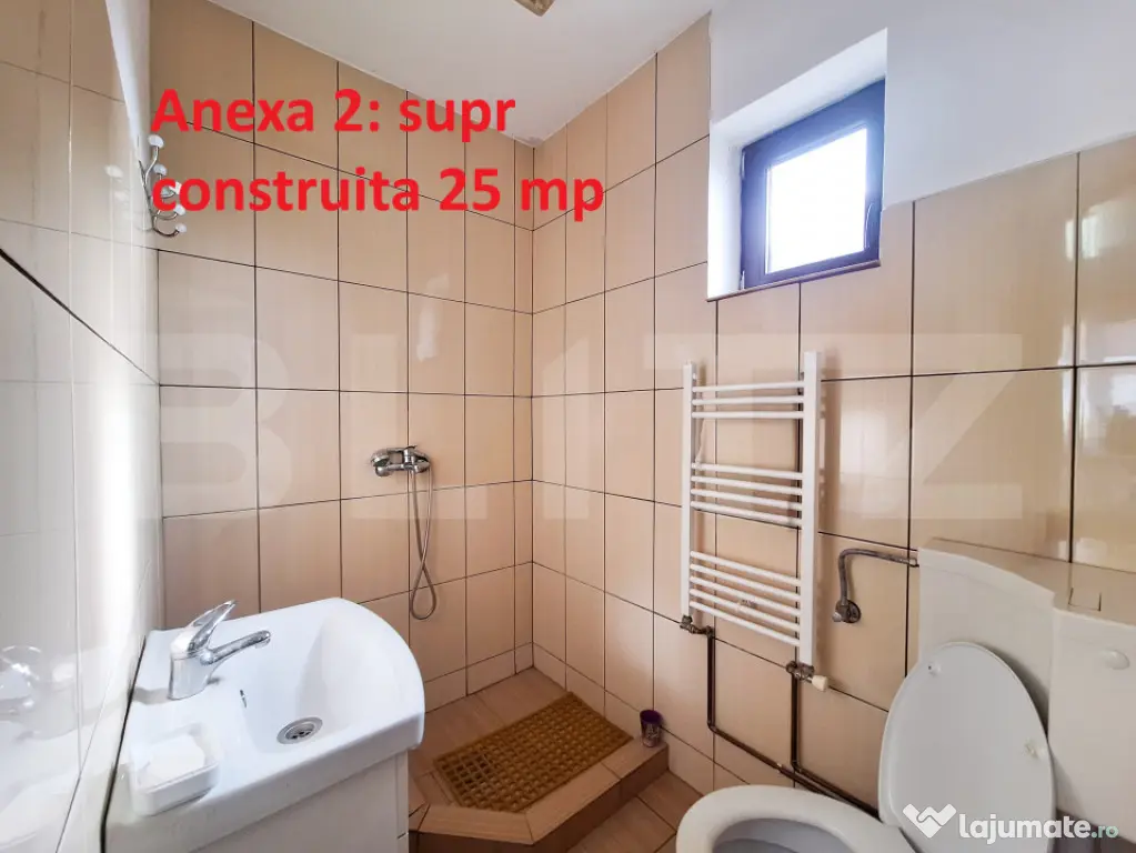 Proprietate cu 3 imobile și 1281 mp teren, Săliștea Nouă