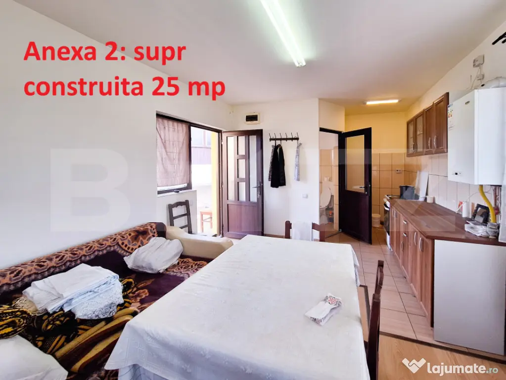 Proprietate cu 3 imobile și 1281 mp teren, Săliștea Nouă