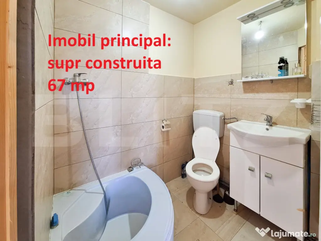 Proprietate cu 3 imobile și 1281 mp teren, Săliștea Nouă