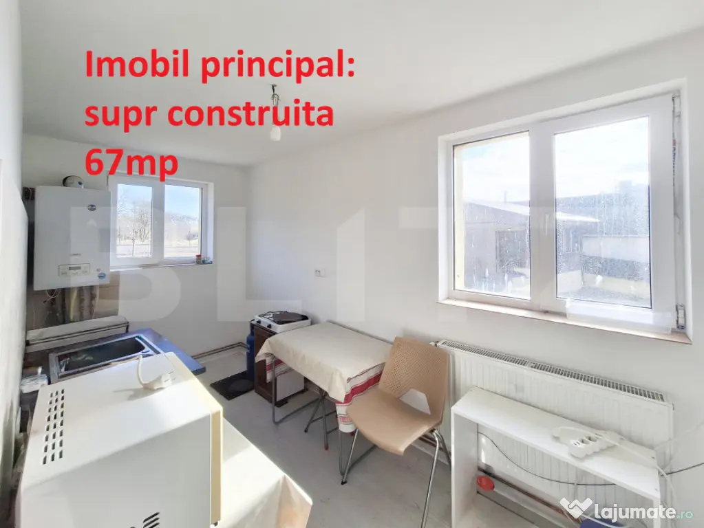 Proprietate cu 3 imobile și 1281 mp teren, Săliștea Nouă