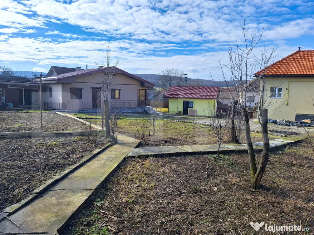 Proprietate cu 3 imobile și 1281 mp teren, Săliștea Nouă