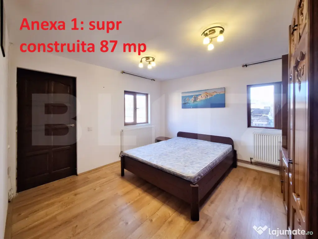 Proprietate cu 3 imobile și 1281 mp teren, Săliștea Nouă