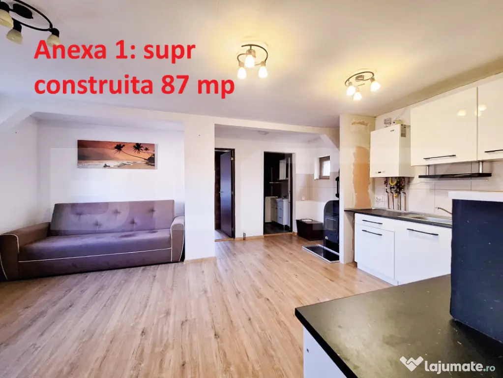 Proprietate cu 3 imobile și 1281 mp teren, Săliștea Nouă