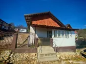 2 Case + teren 3233 mp Darmanești Arges 