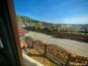 2 Case + teren 3233 mp Darmanești Arges 