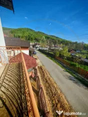 2 Case + teren 3233 mp Darmanești Arges 