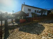 2 Case + teren 3233 mp Darmanești Arges 