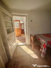 2 Case + teren 3233 mp Darmanești Arges 