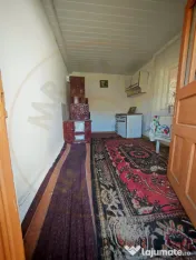 2 Case + teren 3233 mp Darmanești Arges 