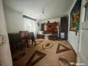 2 Case + teren 3233 mp Darmanești Arges 